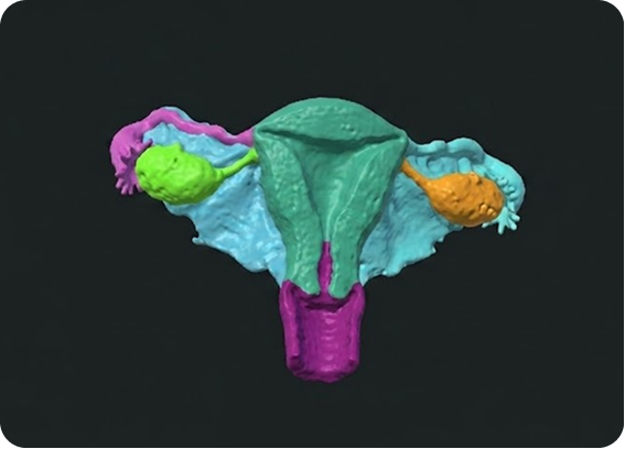 Gynecology