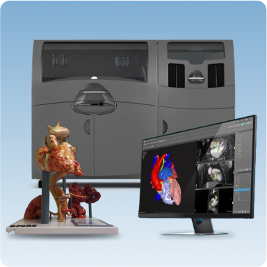 Anatomical Model Package (AMP)