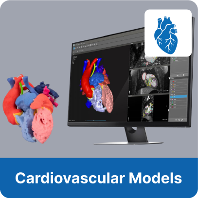 Cardiovascular Models