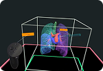 3D lungs/airway model visualization