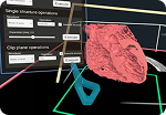3D cardiovascular heart model visualization