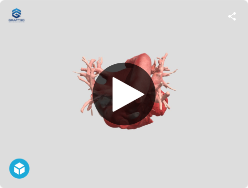Heart 3D model preview