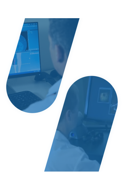 Medical Segmentation Service