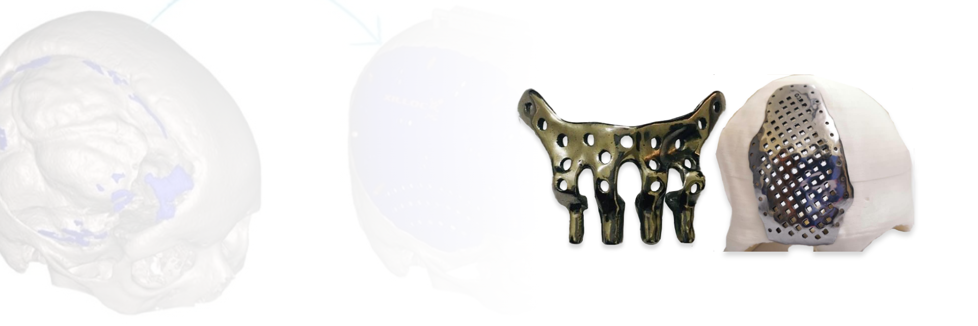 ReGraft Products Background