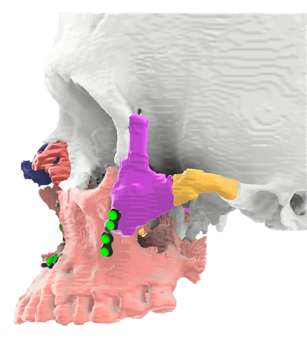 Clinical Applications Clinical Model