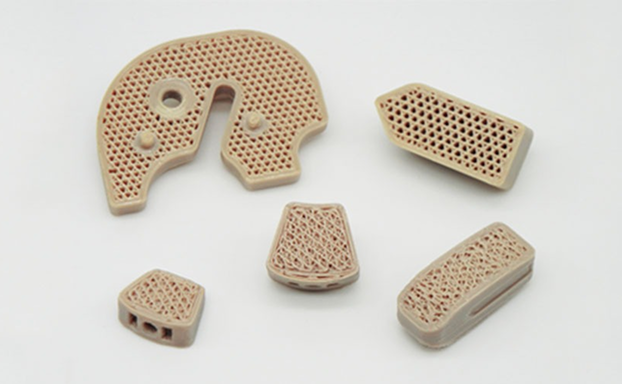 Orthopedic Implants