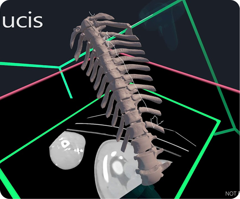 Explore Anatomy in VR