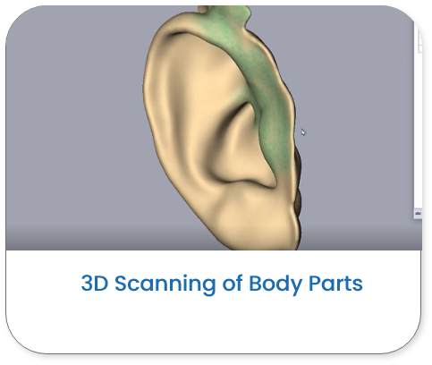 3D Modelling of Artificial Ears