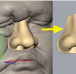 Nasal Prosthesis Design