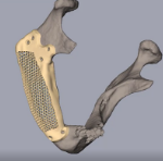 Bio Cad modelling